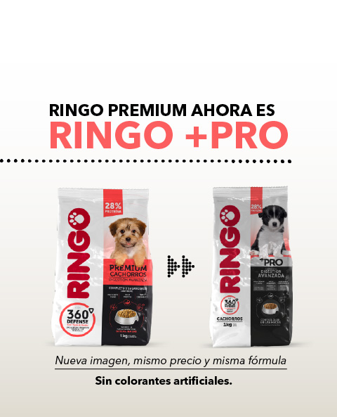 Ringo + Pro cachorros
